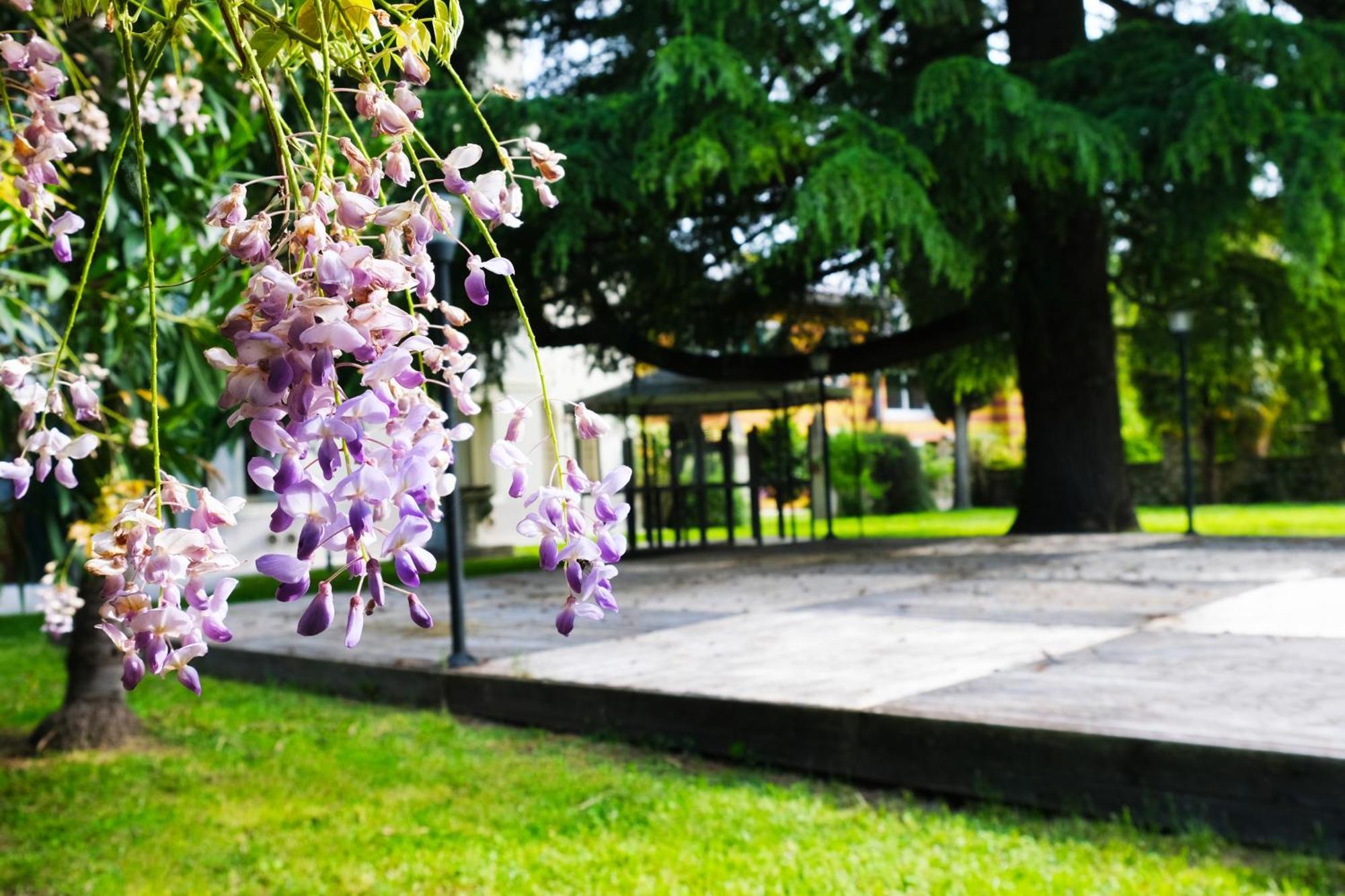 Hotel Villa Ca Damiani Caneva Exterior foto